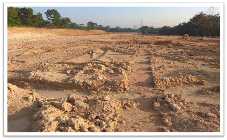 Mighty White Bakery Earthwork